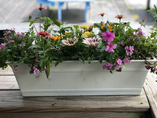 Possible pots - rectangle.jpg